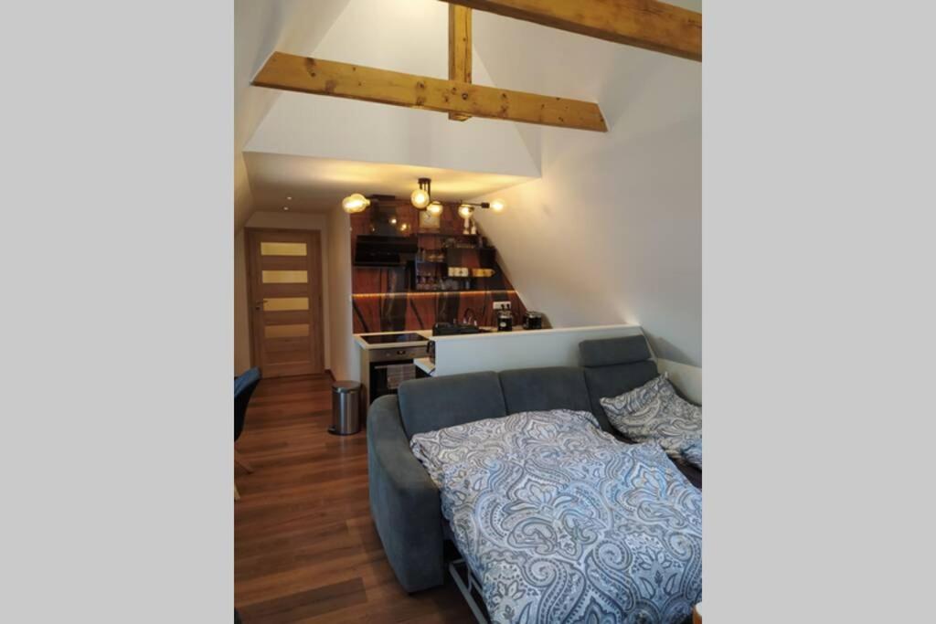 Apartman Atelier Vary V Nove Zrekonstruovanem Dome Карлови Вари Екстериор снимка